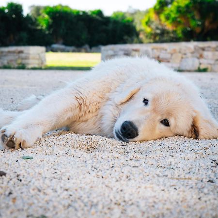 Masseria Pilano Crispiano Dış mekan fotoğraf